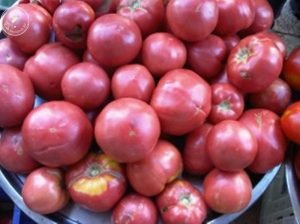 img01508-20140630-1718-300x224