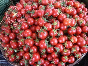 img02643-20140815-1350