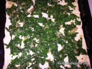 img03709-20141103-1535
