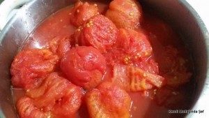 1-20150728_194226-300x169