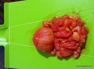 1-20150728_203441-300x221